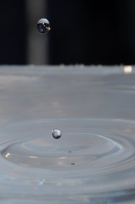 Bulle de reflets_4348867162_l.jpg